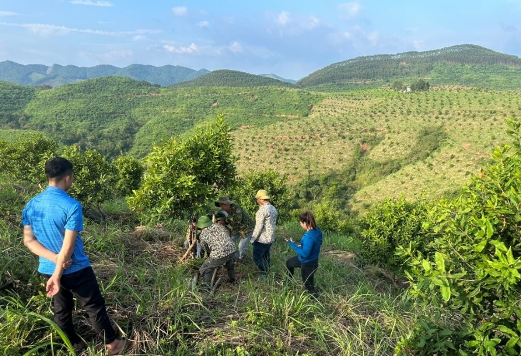 Tổng công ty Lâm nghiệp Việt Nam: Chủ động ứng phó, khẩn trương khắc phục hậu quả bão số 3